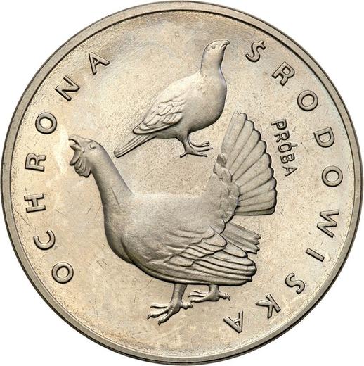 Реверс монеты - Пробные 100 злотых 1980 года MW "Глухарь" Никель - цена  монеты - Польша, Народная Республика