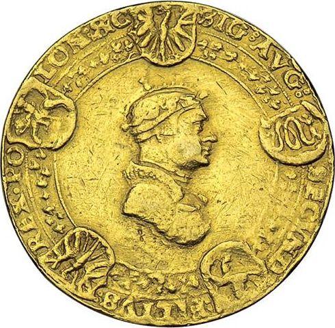 Reverse 10 Ducat 1533 "Torun" - Poland, Sigismund I the Old