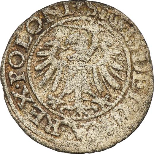 Реверс монеты - Шеляг 1549 года "Гданьск" - цена серебряной монеты - Польша, Сигизмунд I Старый