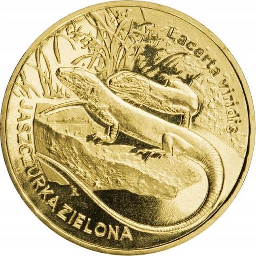 Реверс монеты - 2 злотых 2009 года MW RK "Зелёная ящерица" - цена  монеты - Польша, III Республика после деноминации