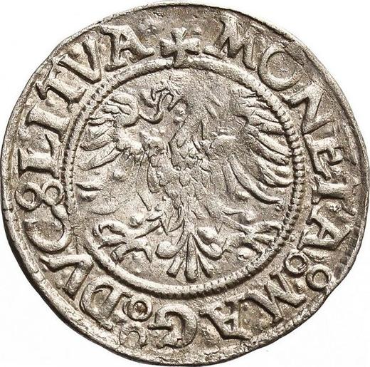 Аверс монеты - Полугрош (1/2 гроша) без года (1545-1572) "Литва" - цена серебряной монеты - Польша, Сигизмунд II Август