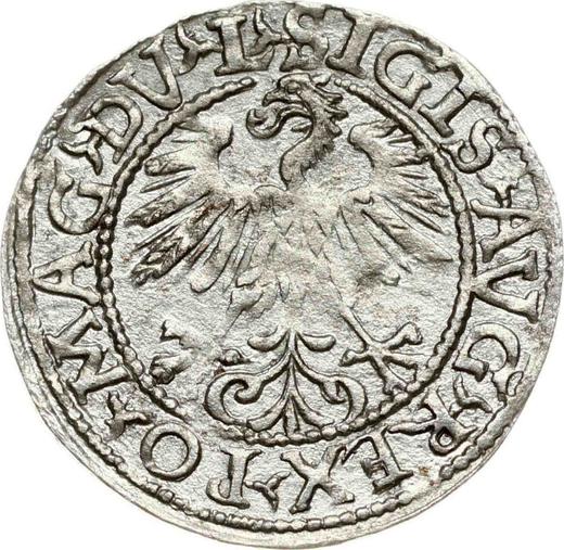 Аверс монеты - Полугрош (1/2 гроша) 1560 года "Литва" - цена серебряной монеты - Польша, Сигизмунд II Август