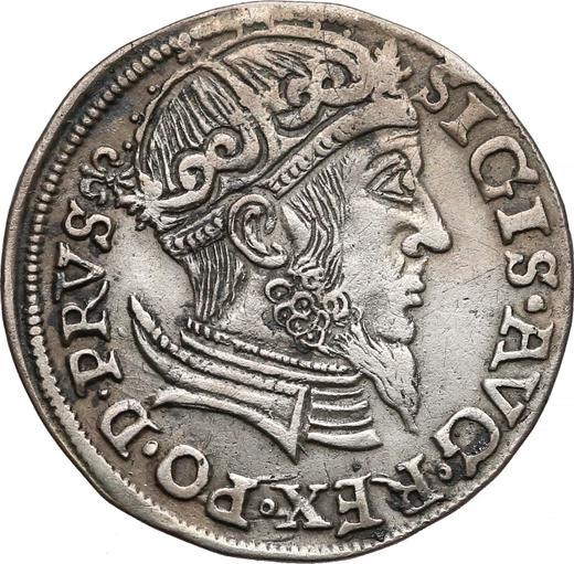 Аверс монеты - Трояк (3 гроша) 1557 года "Гданьск" - цена серебряной монеты - Польша, Сигизмунд II Август
