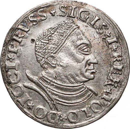 Awers monety - Trojak 1530 "Toruń" - cena srebrnej monety - Polska, Zygmunt I Stary