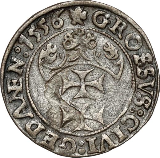 Rewers monety - 1 grosz 1556 "Gdańsk" - cena srebrnej monety - Polska, Zygmunt II August