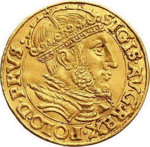 Аверс монеты - Дукат 1555 года "Гданьск" - цена золотой монеты - Польша, Сигизмунд II Август