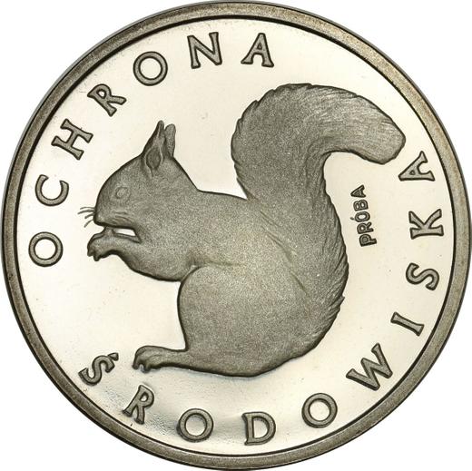 Reverse Pattern 1000 Zlotych 1985 MW "Squirrel" Silver - Silver Coin Value - Poland, Peoples Republic