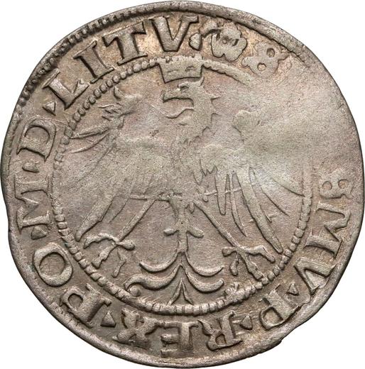Rewers monety - 1 grosz 1536 M "Litwa" - cena srebrnej monety - Polska, Zygmunt I Stary