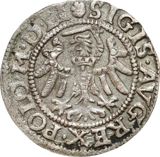 Obverse Schilling (Szelag) 1552 "Danzig" - Silver Coin Value - Poland, Sigismund II Augustus