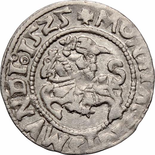 Awers monety - Półgrosz 1525 "Litwa" - cena srebrnej monety - Polska, Zygmunt I Stary