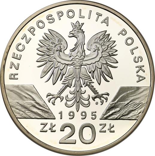 Аверс монеты - 20 злотых 1995 года MW NR "Сом" - цена серебряной монеты - Польша, III Республика после деноминации