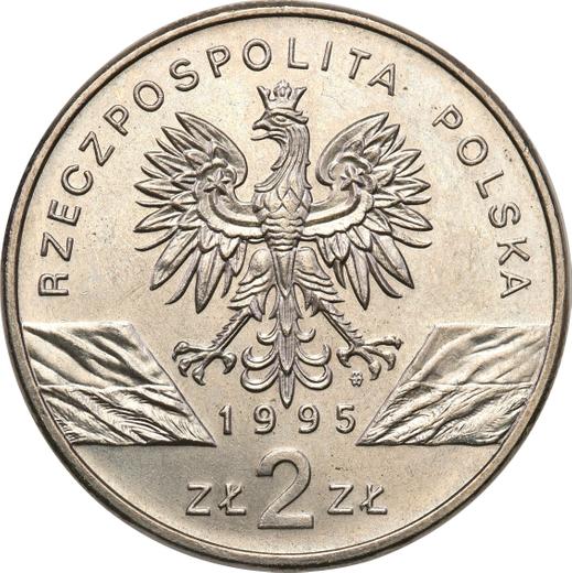 Аверс монеты - 2 злотых 1995 года MW NR "Сом" - цена  монеты - Польша, III Республика после деноминации