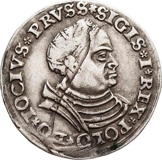Аверс монеты - Трояк (3 гроша) 1528 года "Торунь" - цена серебряной монеты - Польша, Сигизмунд I Старый