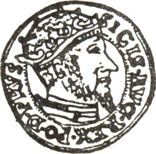 Аверс монеты - Дукат 1558 года "Гданьск" - цена золотой монеты - Польша, Сигизмунд II Август