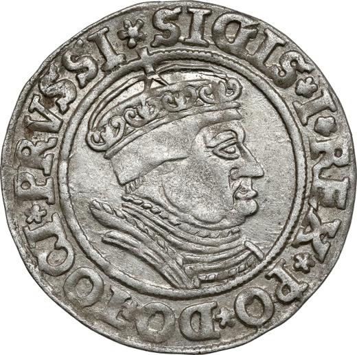 Awers monety - 1 grosz 1535 "Toruń" - cena srebrnej monety - Polska, Zygmunt I Stary