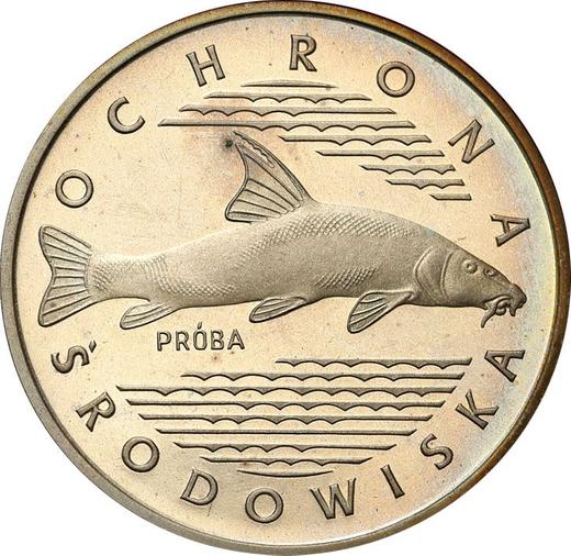 Rewers monety - PRÓBA 100 złotych 1977 MW "Ryba Brzana" Srebro - cena srebrnej monety - Polska, PRL