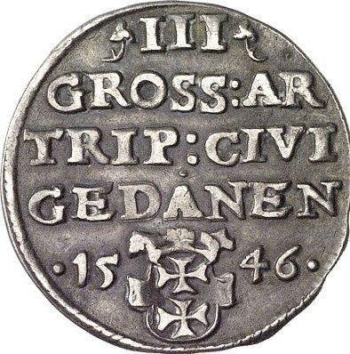 Rewers monety - Trojak 1546 "Gdańsk" - cena srebrnej monety - Polska, Zygmunt I Stary