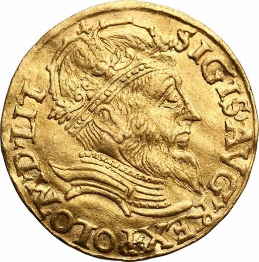 Awers monety - Dukat 1560 "Litwa" - cena złotej monety - Polska, Zygmunt II August