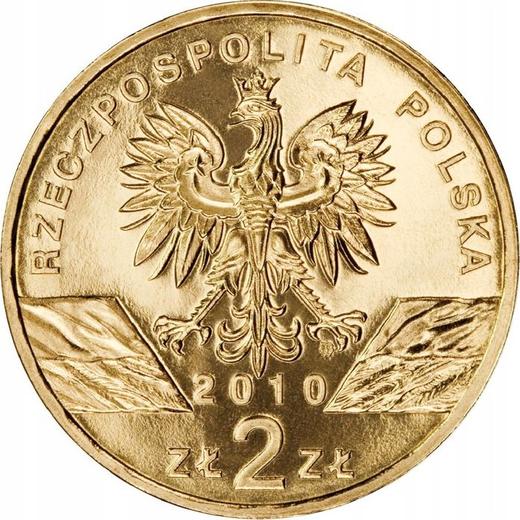 Аверс монеты - 2 злотых 2010 года MW AN "Малый подковонос" - цена  монеты - Польша, III Республика после деноминации