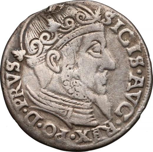 Аверс монеты - Трояк (3 гроша) 1558 года "Гданьск" - цена серебряной монеты - Польша, Сигизмунд II Август