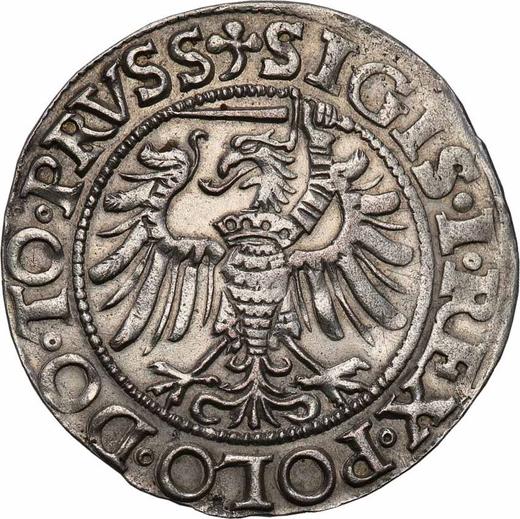 Rewers monety - 1 grosz 1538 "Elbląg" - cena srebrnej monety - Polska, Zygmunt I Stary