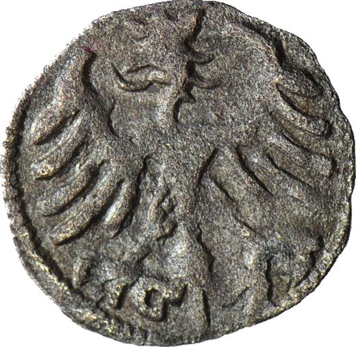 Rewers monety - Denar bez daty (1506-1548) SP Bez znaku w koronie - cena srebrnej monety - Polska, Zygmunt I Stary