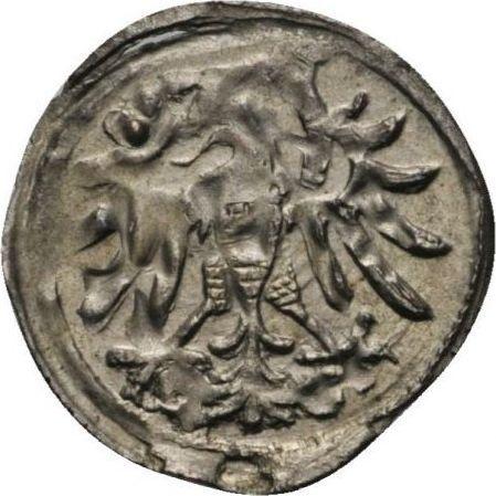 Rewers monety - Denar 1546 "Gdańsk" - cena srebrnej monety - Polska, Zygmunt I Stary