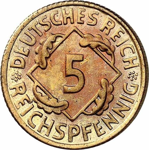 Аверс монеты - 5 рейхспфеннигов 1924 года D - цена  монеты - Германия, Bеймарская республика