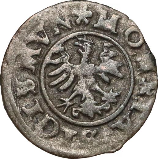 Anverso Ternar (Trzeciak) 1528 SP - valor de la moneda de plata - Polonia, Segismundo I el Viejo
