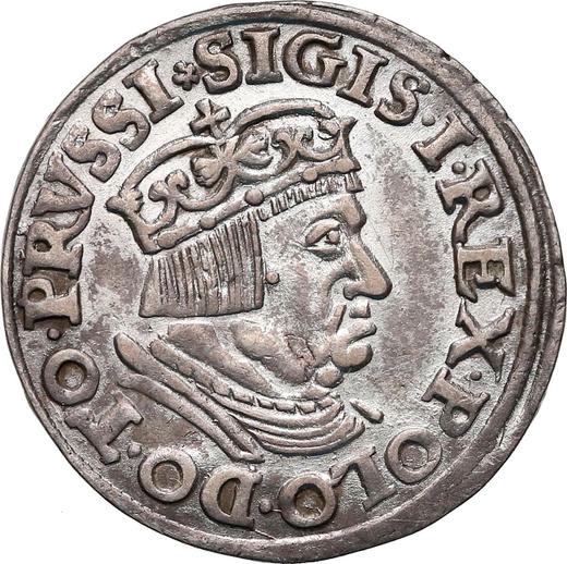 Awers monety - Trojak 1537 "Gdańsk" - cena srebrnej monety - Polska, Zygmunt I Stary