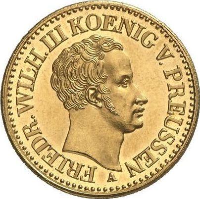 Аверс монеты - 2 фридрихсдора 1829 года A - цена золотой монеты - Пруссия, Фридрих Вильгельм III