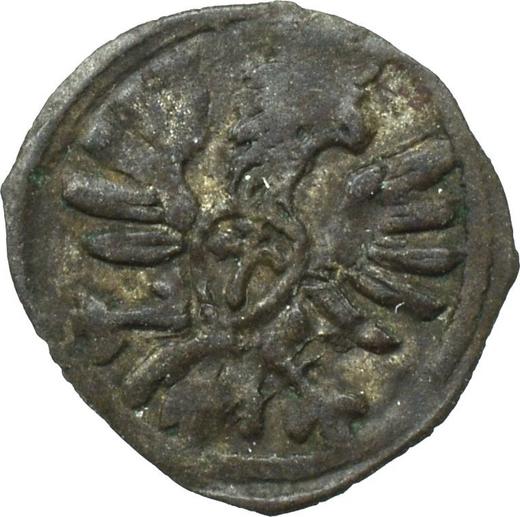 Awers monety - Denar bez daty (1587-1632) "Typ 1587-1614" - cena srebrnej monety - Polska, Zygmunt III