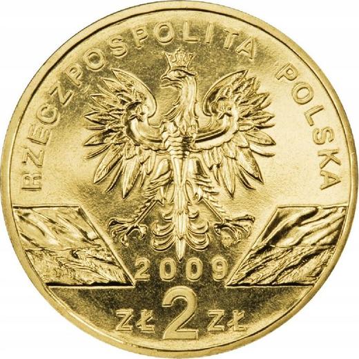 Avers 2 Zlote 2009 MW RK "Europäische Grüne Eidechse" - Münze Wert - Polen, III Republik Polen nach Stückelung