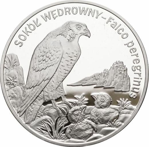 Reverso 20 eslotis 2008 MW NR "Halcón peregrino" - valor de la moneda de plata - Polonia, República moderna