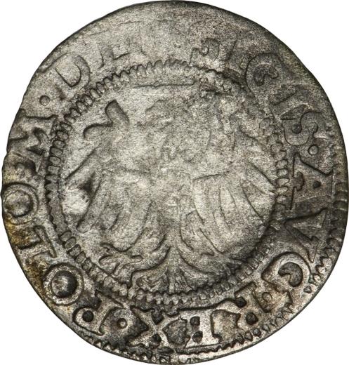 Аверс монеты - Шеляг 1550 года "Гданьск" - цена серебряной монеты - Польша, Сигизмунд II Август
