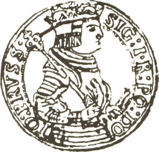 Avers Probe 6 Gröscher 1528 "Thorn" - Silbermünze Wert - Polen, Sigismund der Alte