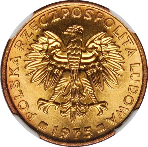 Awers monety - 2 złote 1975 WK - cena  monety - Polska, PRL