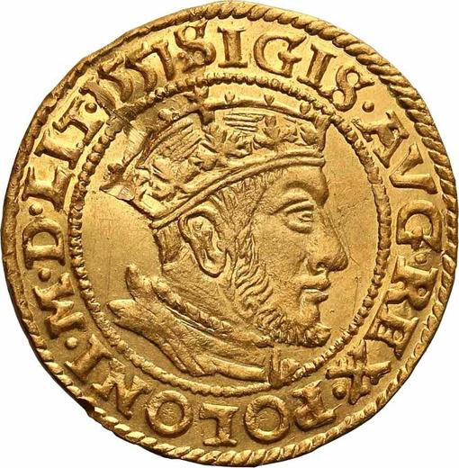 Аверс монеты - Дукат 1551 года "Гданьск" - цена золотой монеты - Польша, Сигизмунд II Август