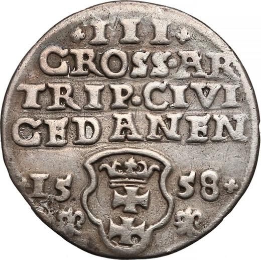 Rewers monety - Trojak 1558 "Gdańsk" - cena srebrnej monety - Polska, Zygmunt II August