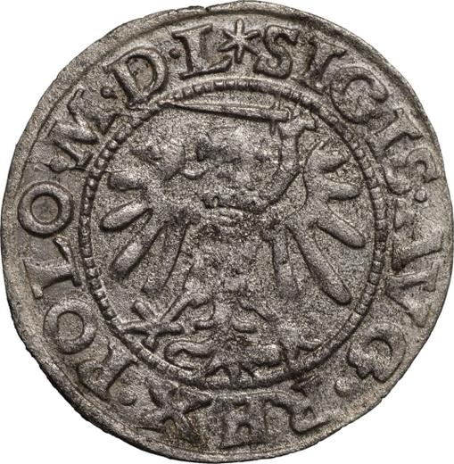 Obverse Schilling (Szelag) 1549 "Danzig" - Silver Coin Value - Poland, Sigismund II Augustus