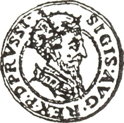 Аверс монеты - Дукат 1556 года "Гданьск" - цена золотой монеты - Польша, Сигизмунд II Август