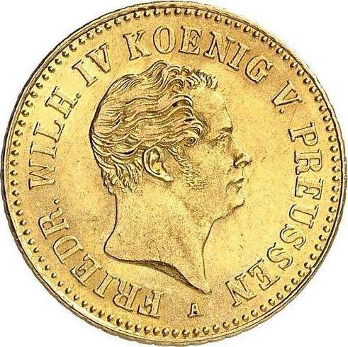 Аверс монеты - Фридрихсдор 1842 года A - цена золотой монеты - Пруссия, Фридрих Вильгельм IV