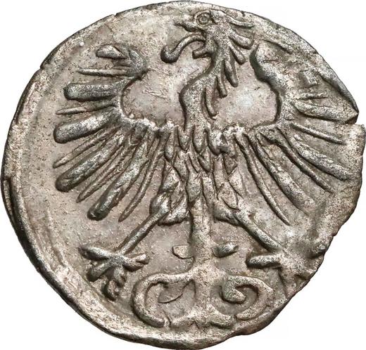 Аверс монеты - Денарий 1556 года "Литва" - цена серебряной монеты - Польша, Сигизмунд II Август