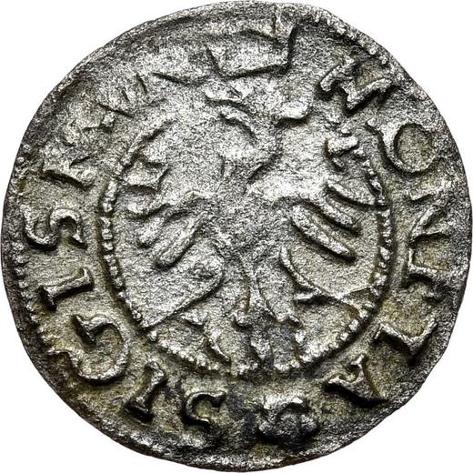 Anverso Ternar (Trzeciak) 1546 SP - valor de la moneda de plata - Polonia, Segismundo I el Viejo