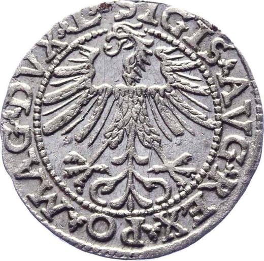 Аверс монеты - Полугрош (1/2 гроша) 1563 года "Литва" - цена серебряной монеты - Польша, Сигизмунд II Август