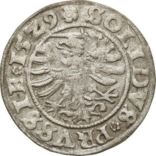 Rewers monety - Szeląg 1529 "Toruń" - cena srebrnej monety - Polska, Zygmunt I Stary