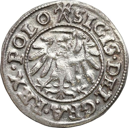 Реверс монеты - Шеляг 1539 года "Гданьск" - цена серебряной монеты - Польша, Сигизмунд I Старый