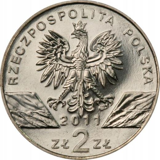 Awers monety - 2 złote 2011 MW "Borsuk" - cena  monety - Polska, III RP po denominacji