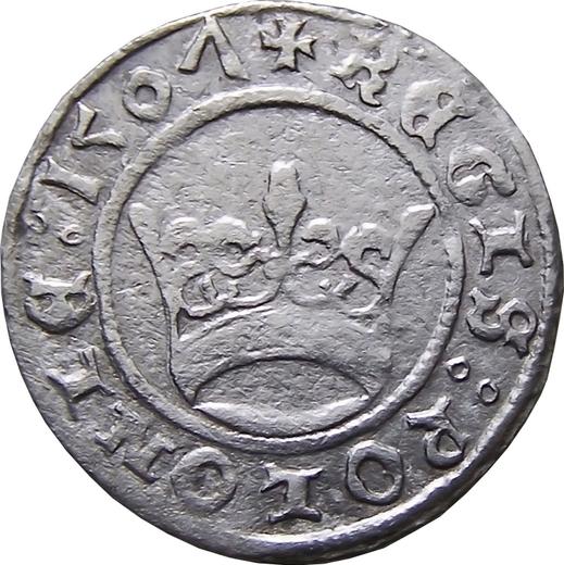Awers monety - Półgrosz 1507 - cena srebrnej monety - Polska, Zygmunt I Stary