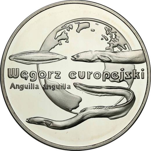 Reverse 20 Zlotych 2003 MW ET "European eel" - Silver Coin Value - Poland, III Republic after denomination